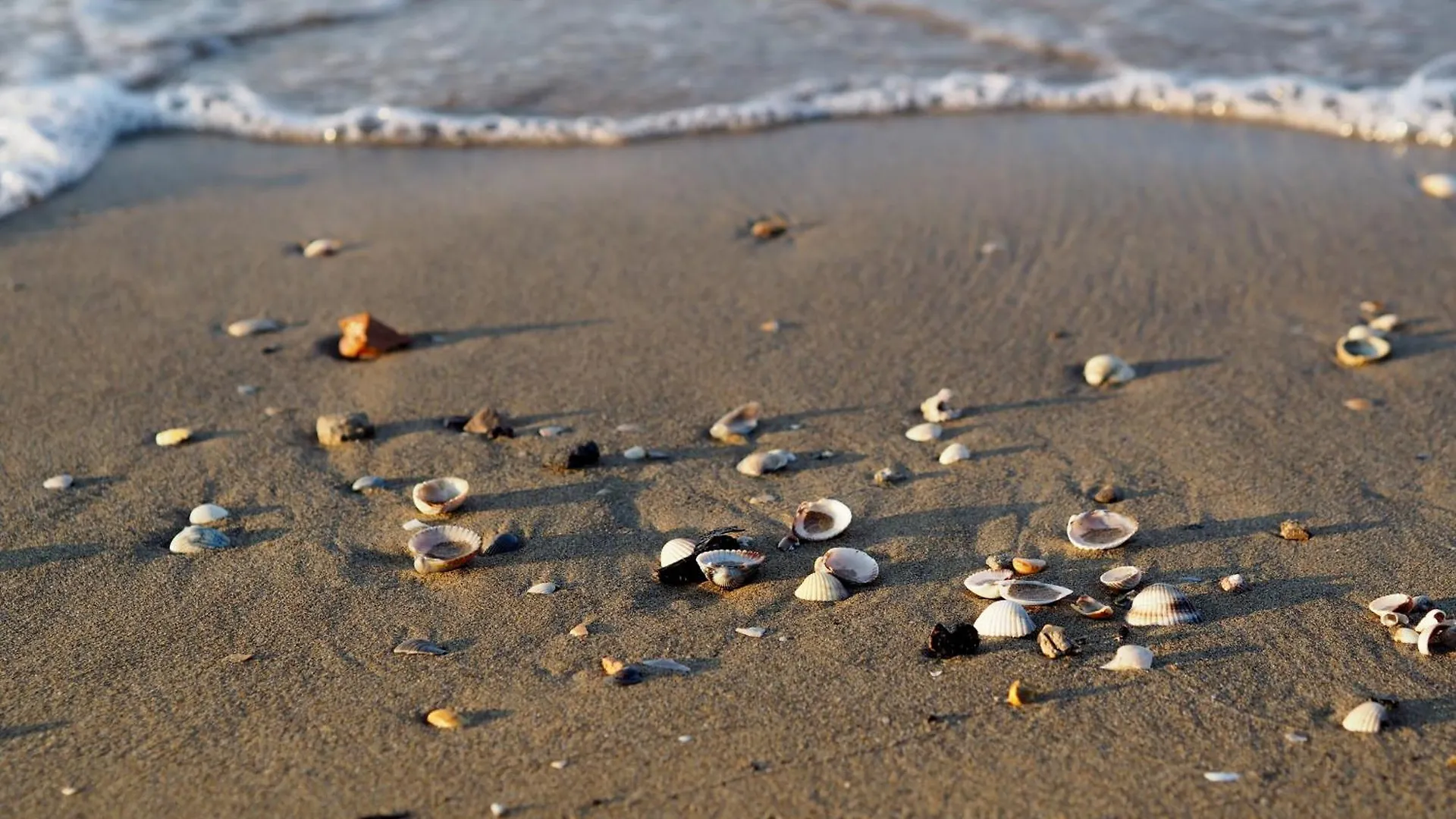 Luminous Flat 400 M From The Beach For 4 Guests Bibione Italy