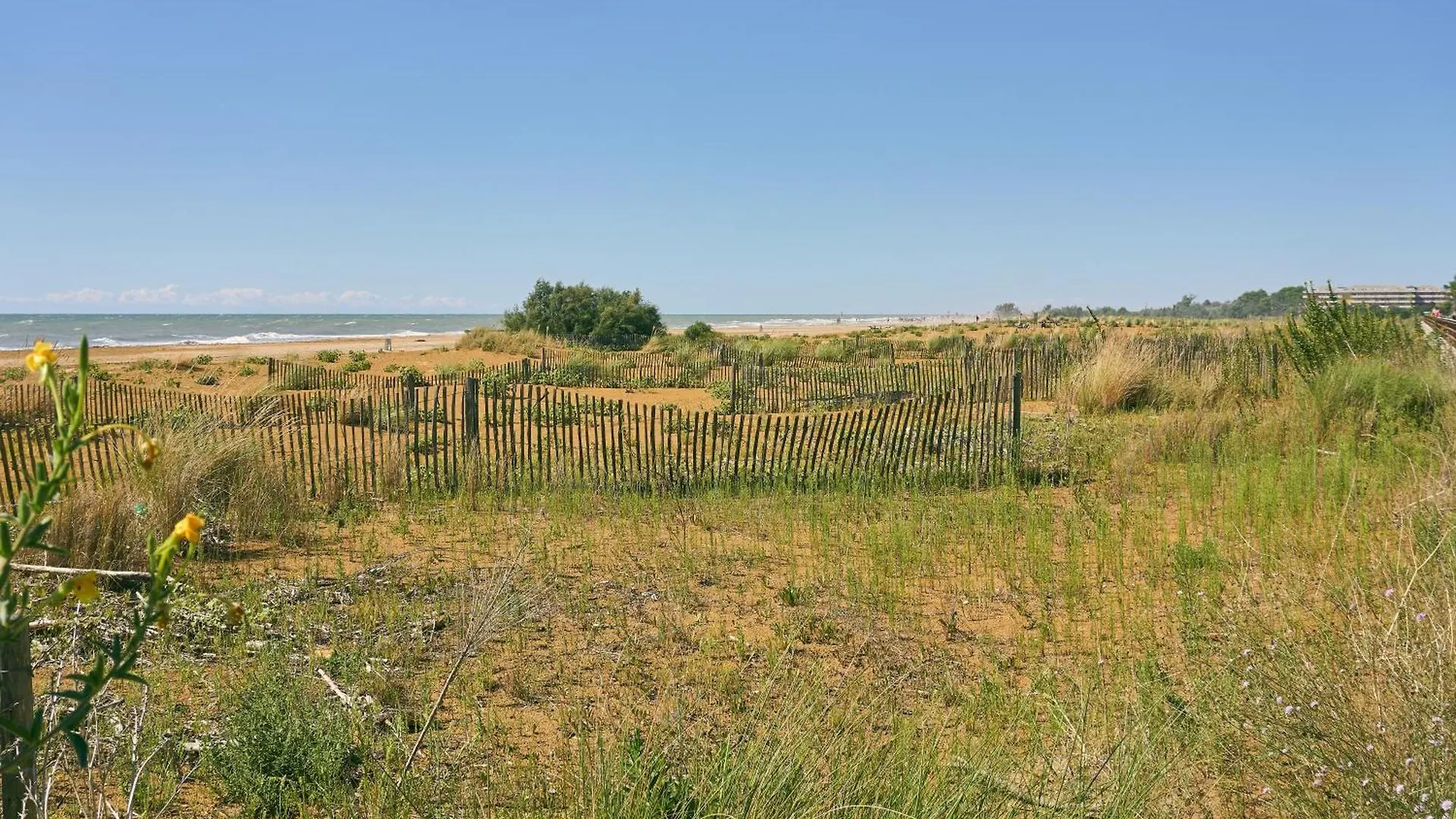 Luminous Flat 400 M From The Beach For 4 Guests Bibione 0*,